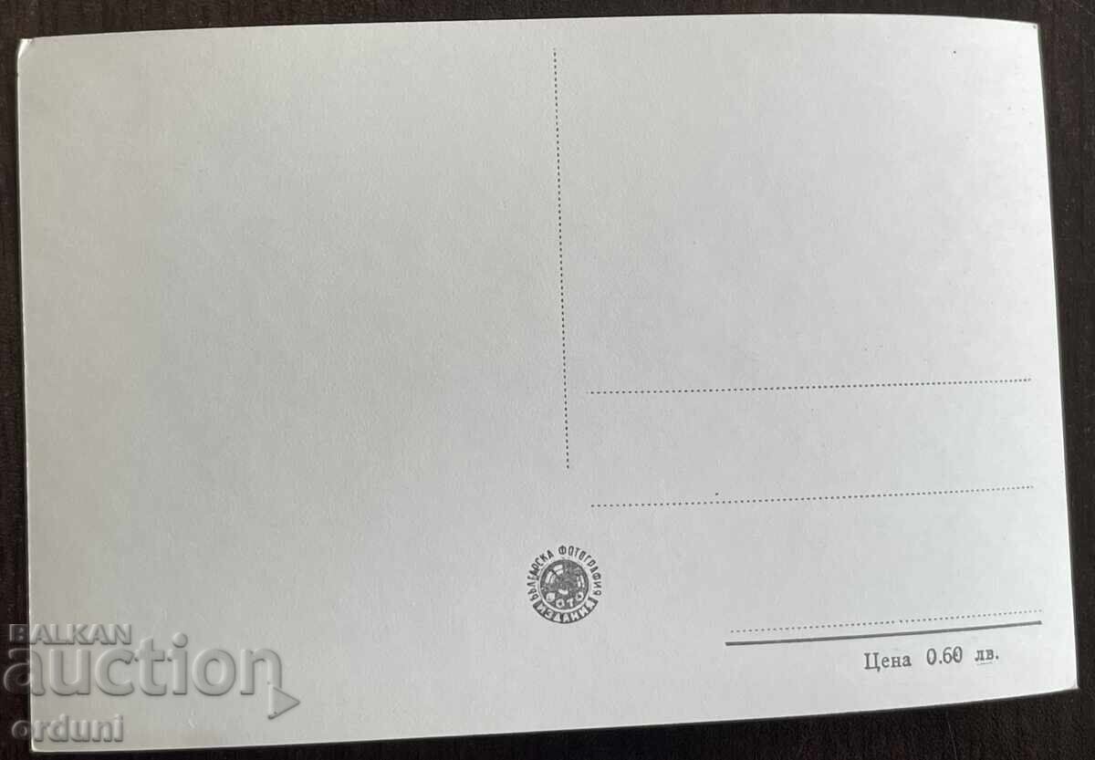 Auction  5251 Bulgaria postcard Village Glozhdene The School 50s