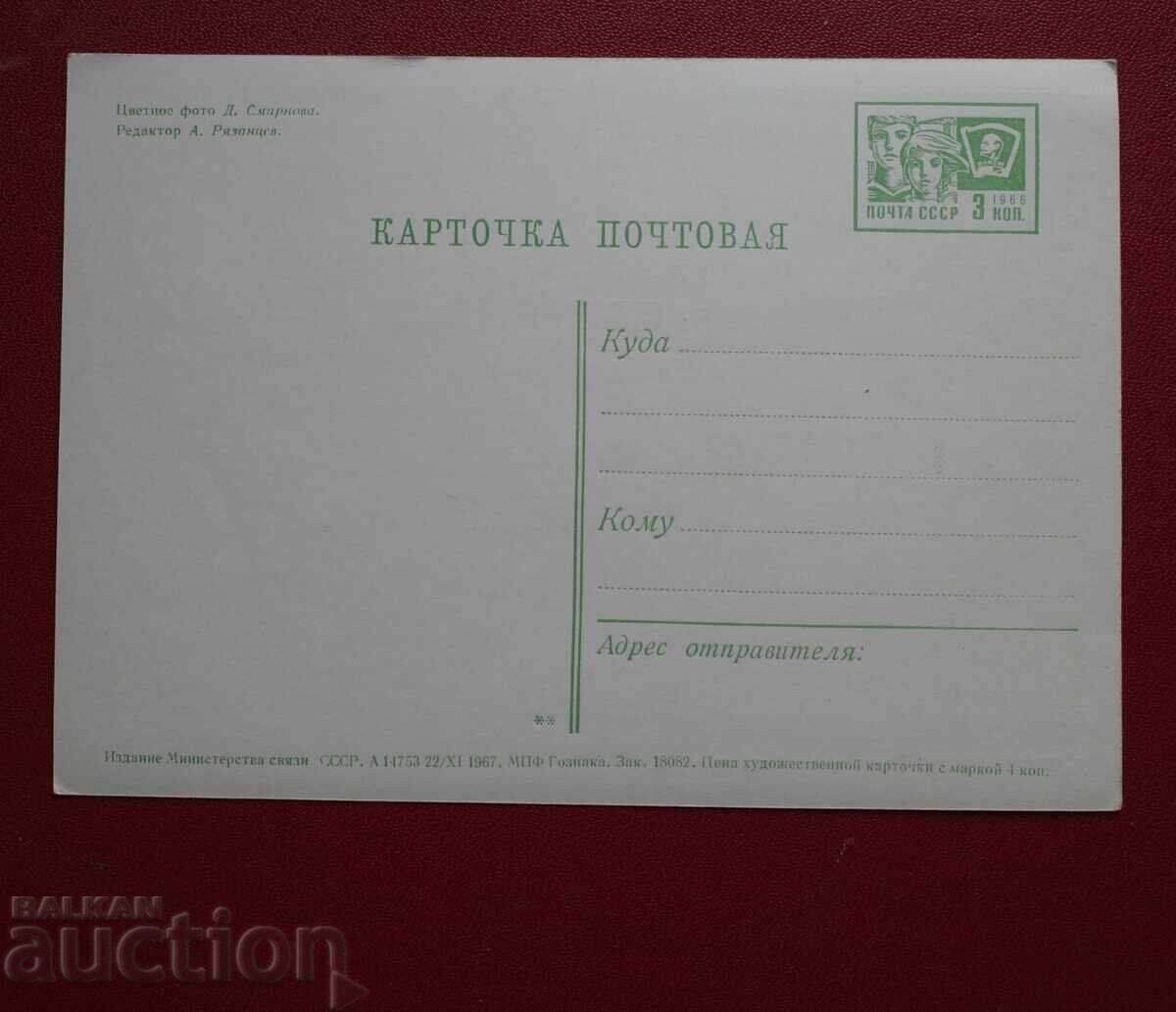 Murmansk-Ships with price € 1.02 | 1.99 BGN