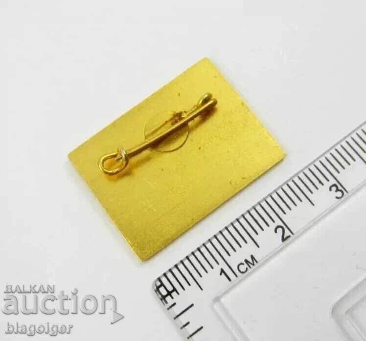 Auction  BRAZIL NOC OLYMPICS MOSCOW 1980 - RARE BADGE