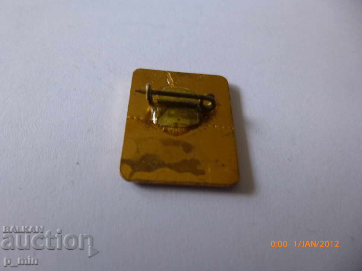 нагръден знак - орентиране с цена € 3.58 | 7.00 лв.