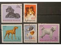 Ουγγαρία 1967 Σκύλοι