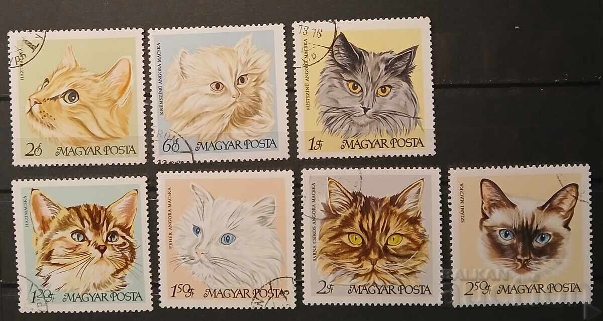 Ουγγαρία 1968 Γάτες