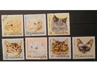 Унгария 1968 Котки