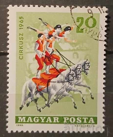 Hungary 1965 Art/Circus/Horses