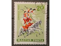 Hungary 1965 Art/Circus/Horses
