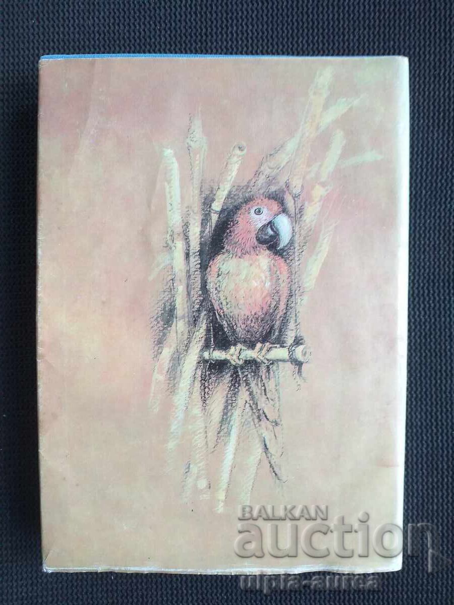 Livrarea Robinson Crusoe Carte pentru copii