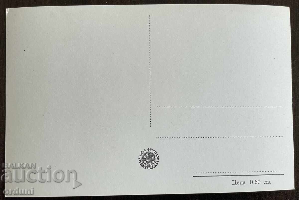 Auction 5260 Bulgaria postcard city Plovdiv old town 50s Auction 5260 Bulgaria postcard city Plovdiv old town 50s