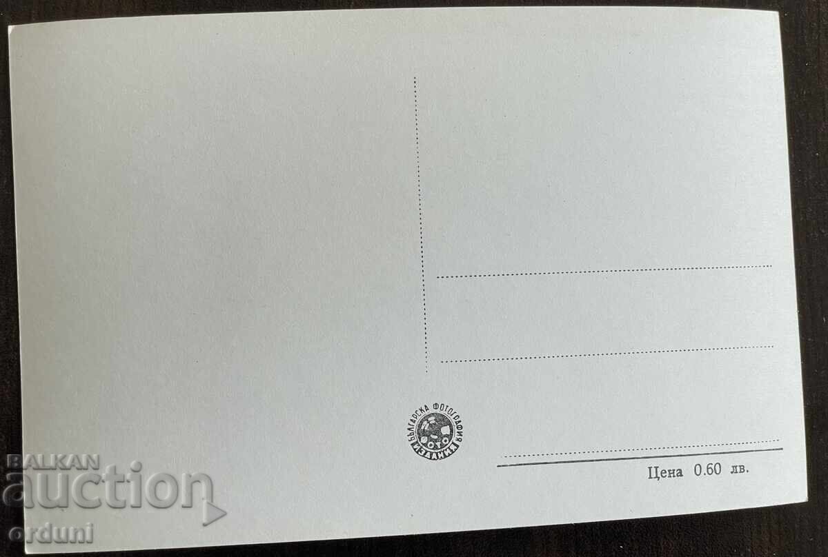 Auction  5264 Bulgaria postcard city Plovdiv view from the 50s