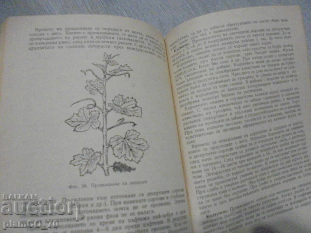 Παράδοση №*8416 παλαιό βιβλίο "Πρακτικός οδηγός αμπελουργίας" Παράδοση №*8416 παλαιό βιβλίο "Πρακτικός οδηγός αμπελουργίας"