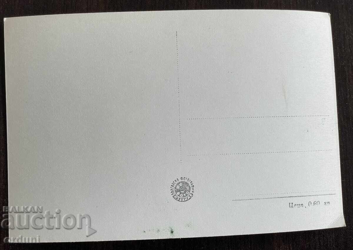 Auction  5277 Bulgaria postcard city Velingrad Chepino square 50-te