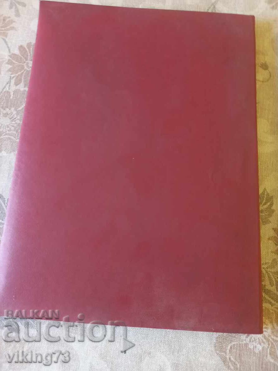 Auction  Folder Report promise.soc