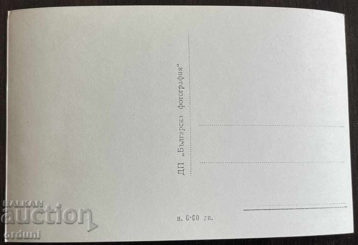 Auction  5280 Bulgaria postcard city Velingrad Holiday camp CSPC