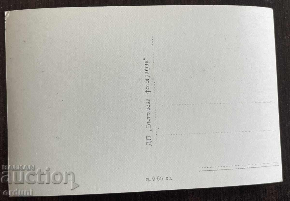 5282 Βουλγαρία καρτ ποστάλ Βελινgrad kv. Τσεπίνο λίμνη Κλεπτούζα με τιμή € 5.11 | 9.99 BGN 5282 Βουλγαρία καρτ ποστάλ Βελινgrad kv. Τσεπίνο λίμνη Κλεπτούζα με τιμή € 5.11 | 9.99 BGN