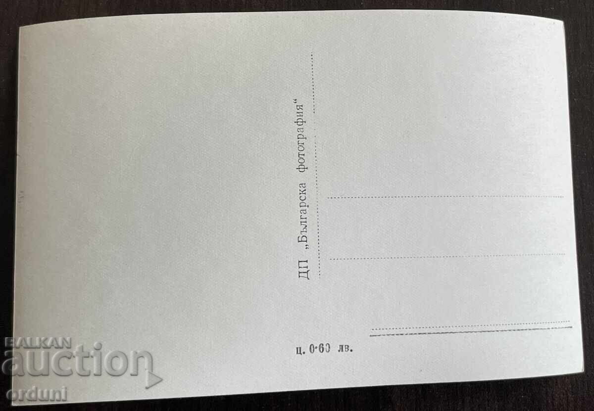 5288 Bulgaria postcard city Velingrad Holiday home CSPC with price € 5.11 | 9.99 BGN