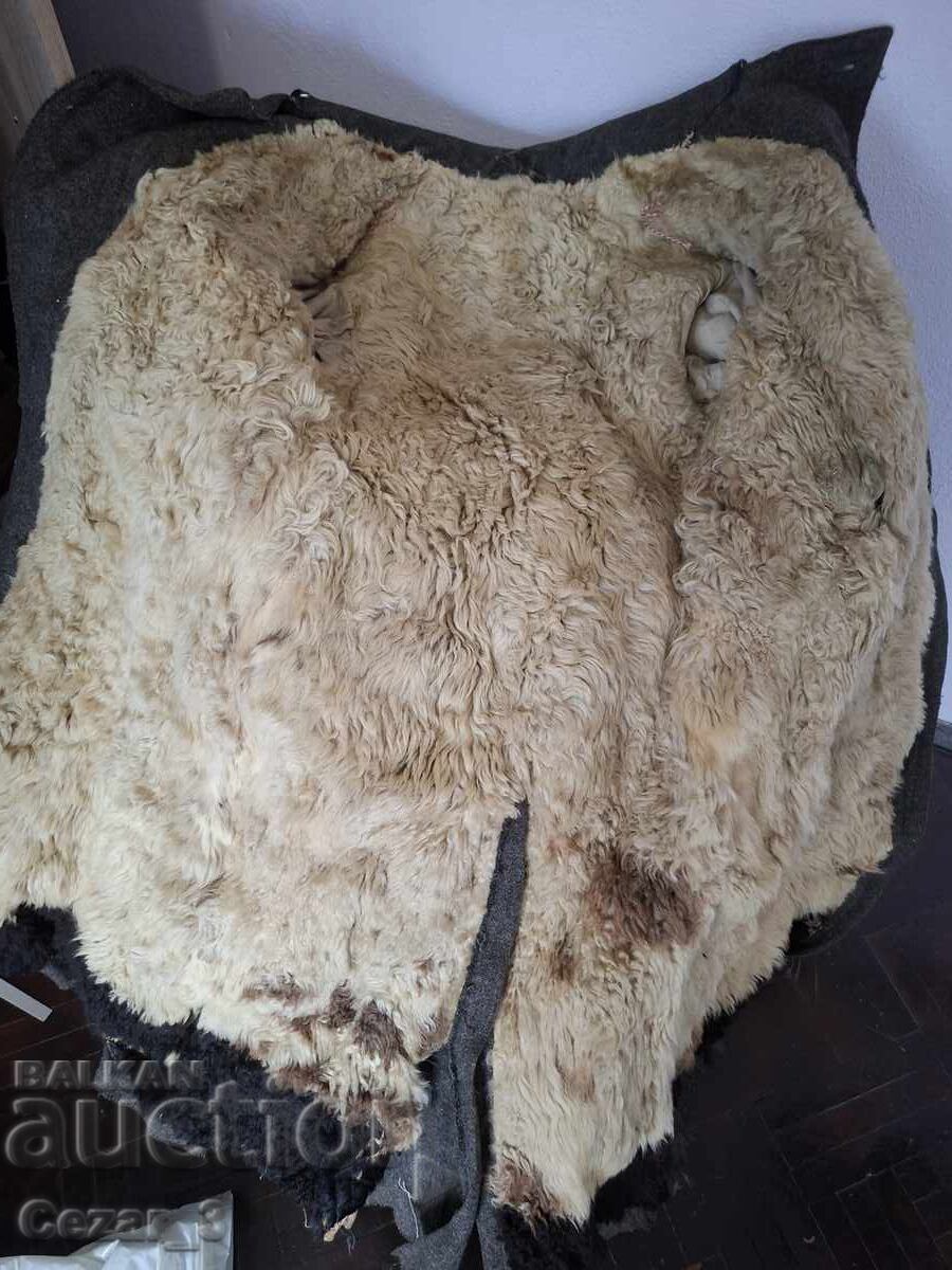 Imperial Officer's Overcoat; UNIQUE; Kingdom of Bulgaria; M42 - 13 Imperial Officer's Overcoat; UNIQUE; Kingdom of Bulgaria; M42 - 13