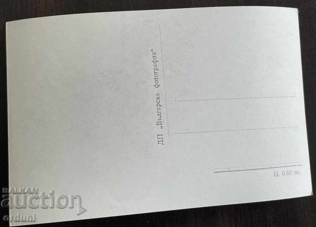 5291 Bulgaria postcard Velingrad Chepino quarter Kleptuza lake with price € 5.11 | 9.99 BGN