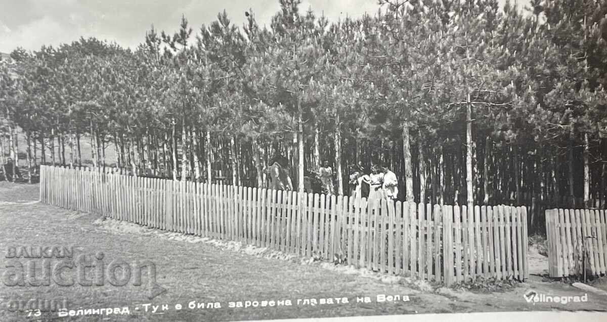 5297 Bulgaria Postcard Velingrad Burial Site Head Vela with price € 5.11 | 9.99 BGN