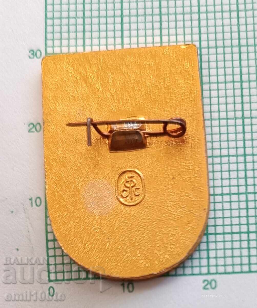 Delivery of Badge - Summer All-Russian Youth Sports Games