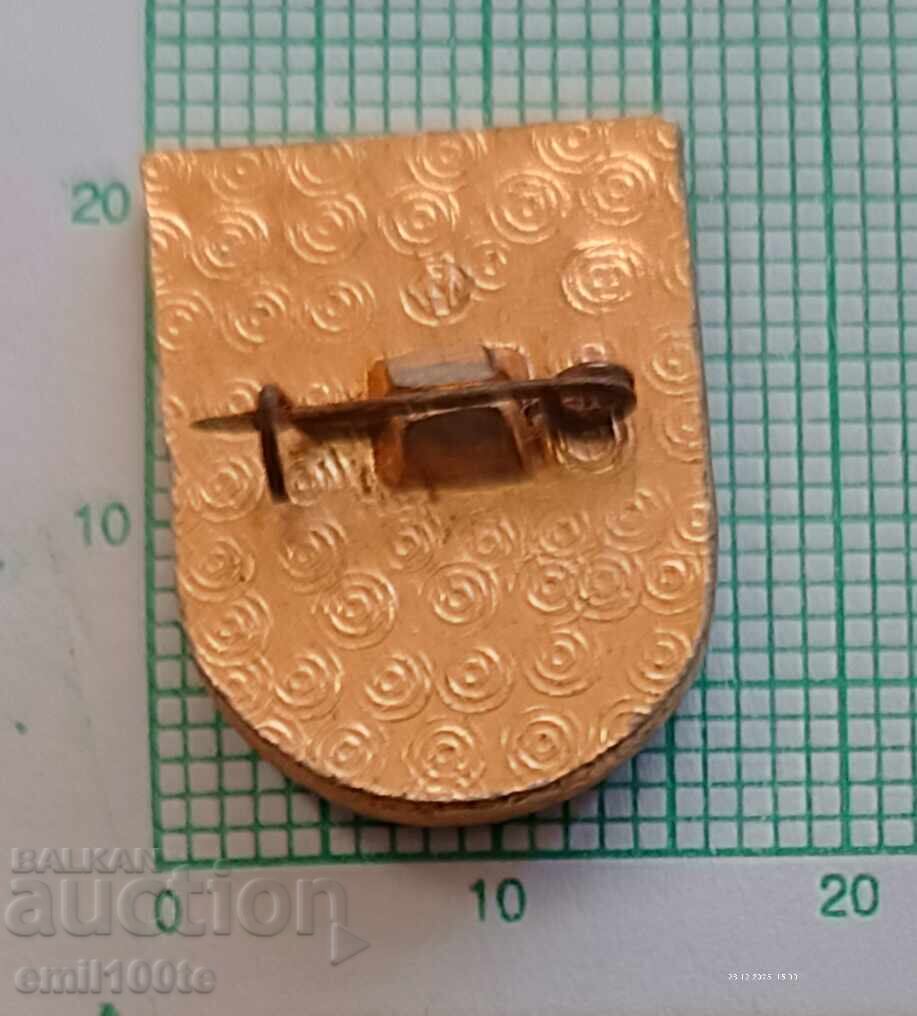 Παράδοση Σήμα- SDYUSHOR Sovet·skiĭ raĭon Moskva - futbol