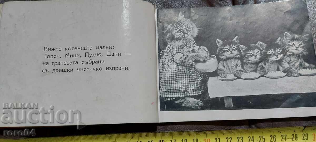 Παράδοση ΓΑΤΆΚΙΑ ΠΑΙΧΝΙΔΙΑΡΙΚΑ Παράδοση ΓΑΤΆΚΙΑ ΠΑΙΧΝΙΔΙΑΡΙΚΑ