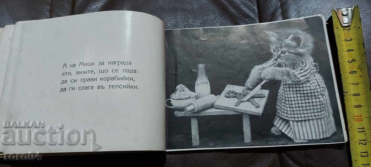 ΓΑΤΆΚΙΑ ΠΑΙΧΝΙΔΙΑΡΙΚΑ - 5 ΓΑΤΆΚΙΑ ΠΑΙΧΝΙΔΙΑΡΙΚΑ - 5