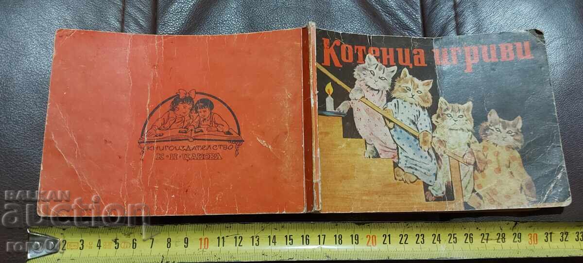 Pui de pisică jucăuși