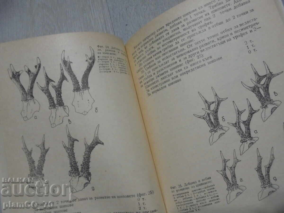 Livrarea №*8417 Carte veche "Evaluarea trofeelor de vânătoare"