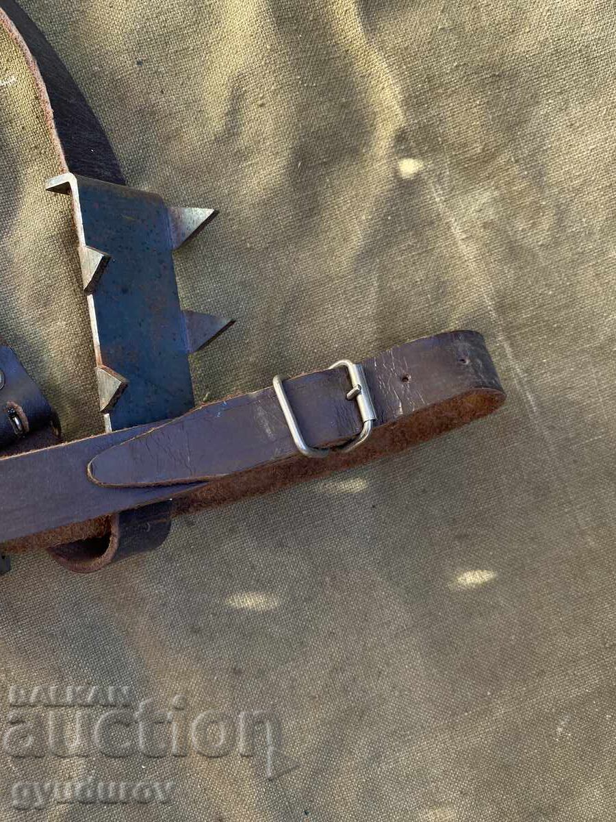 Δημοπρασία "Γάτες"