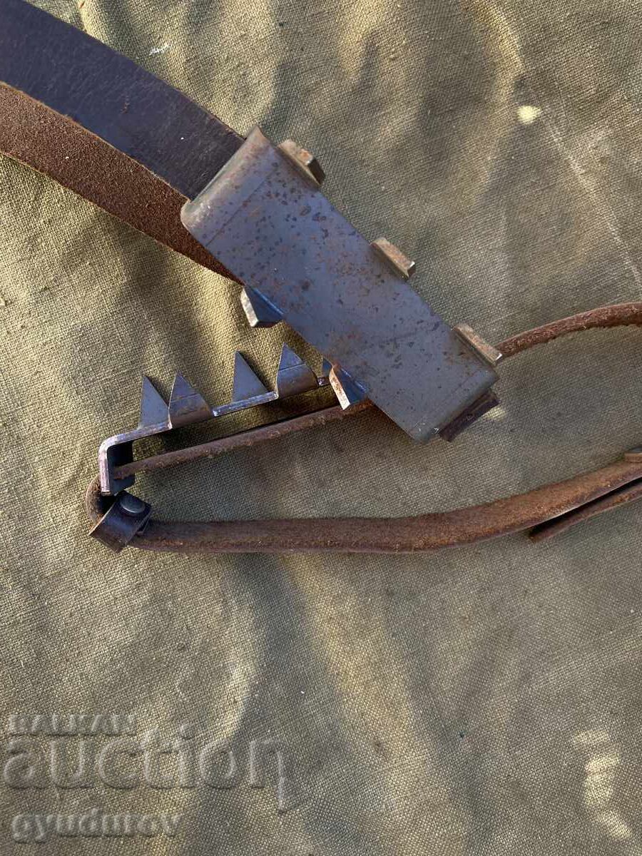 Παράδοση "Γάτες"