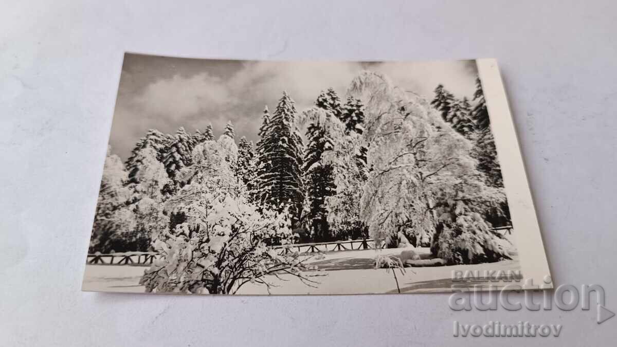 Χριστουγεννιάτικη καρτ ποστάλ Βίτοσα τον χειμώνα Χριστουγεννιάτικη καρτ ποστάλ Βίτοσα τον χειμώνα