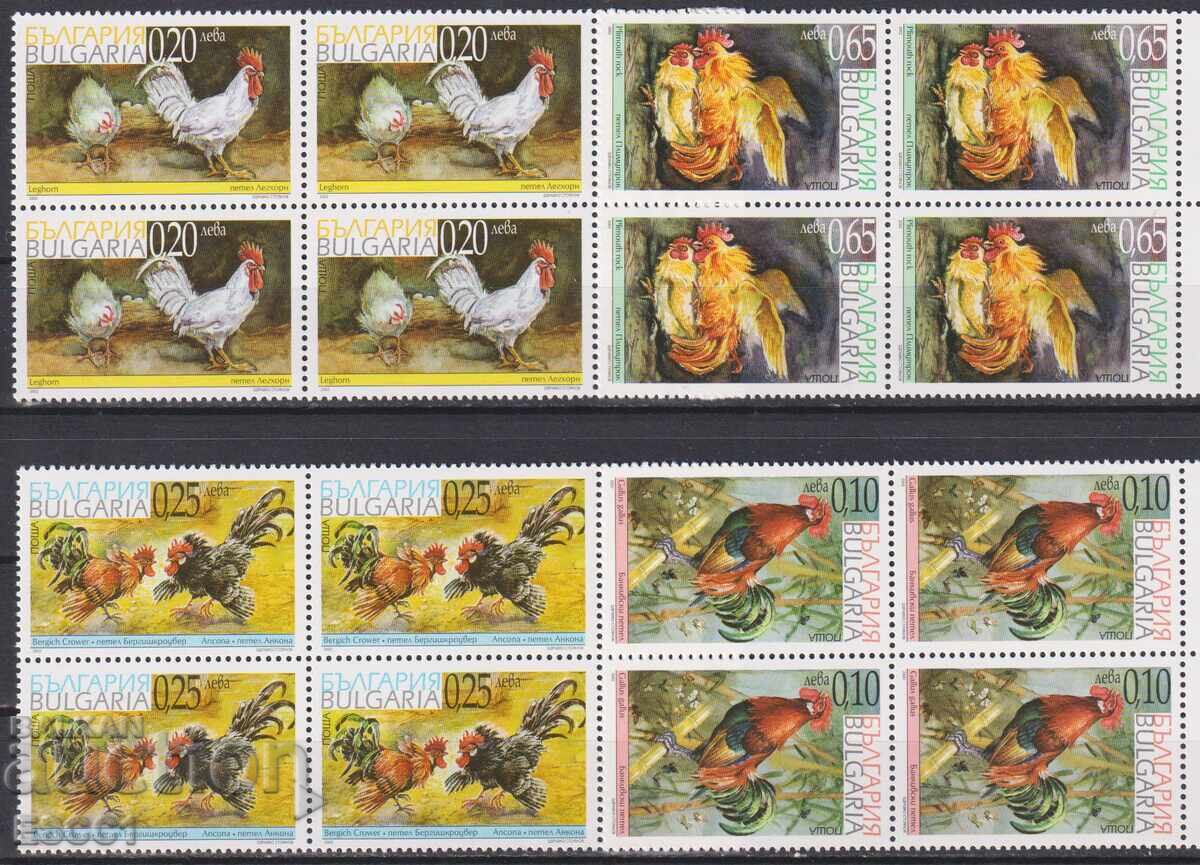 Καθαρές γραμματόσημες καρέτα Φαύνα Πουλιά Φυλές Πετεινοί 2002 Βουλγαρία Καθαρές γραμματόσημες καρέτα Φαύνα Πουλιά Φυλές Πετεινοί 2002 Βουλγαρία