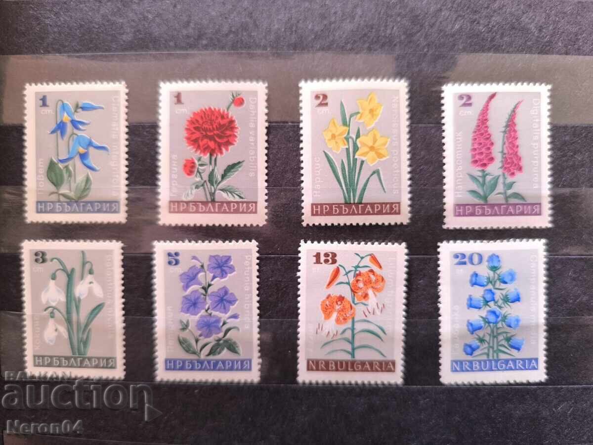 Garden flowers 1966, Bulgaria Garden flowers 1966, Bulgaria