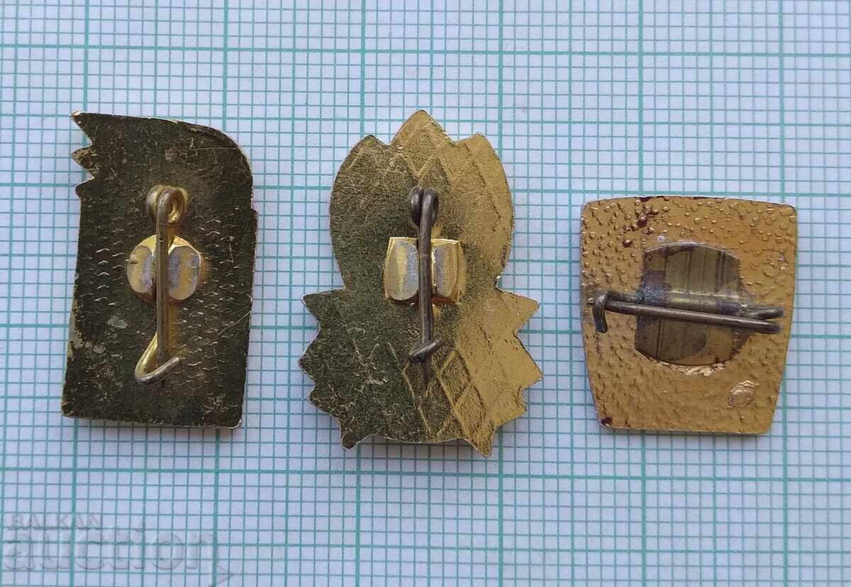 Auction  19347 Badges - Chavdarche Pioneer Komsomol - LOT of 3 pieces