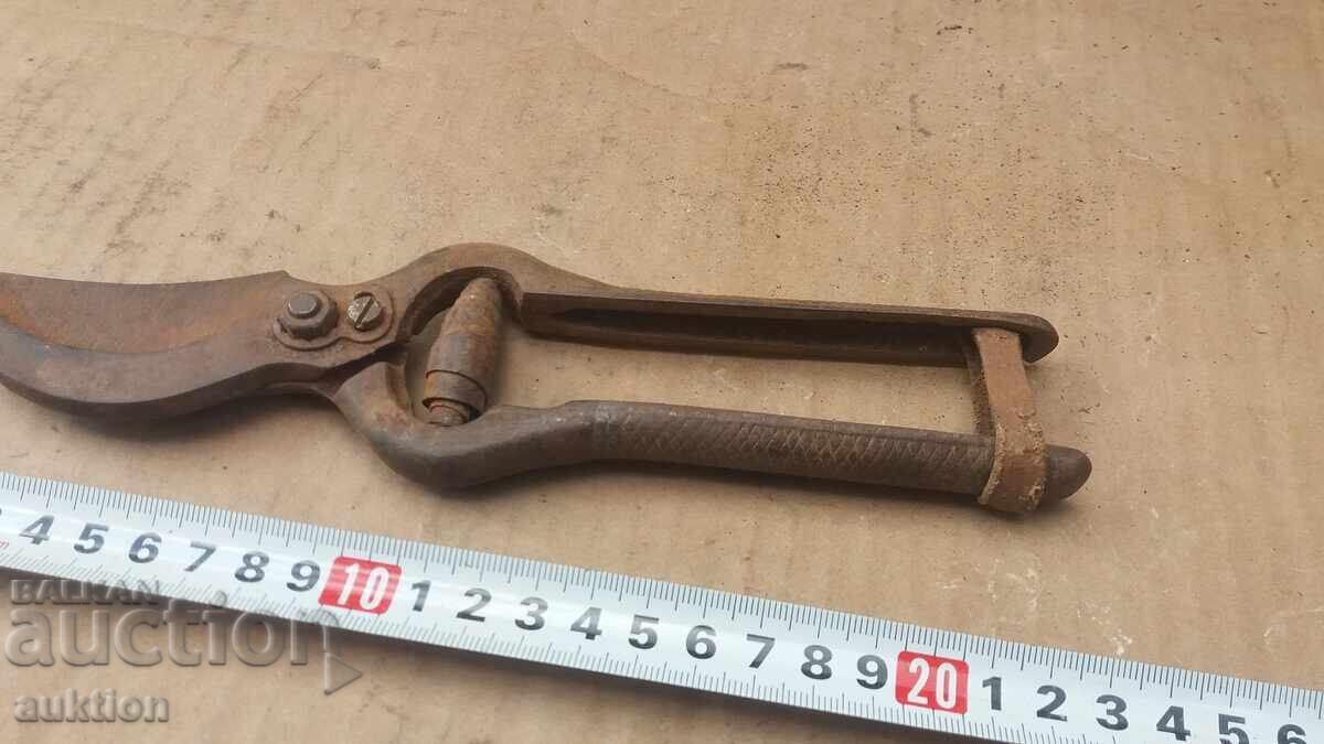 Licitație FOARFECE MASIVE PENTRU VIE