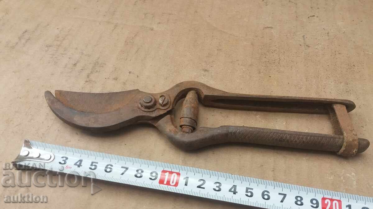 Livrarea FOARFECE MASIVE PENTRU VIE