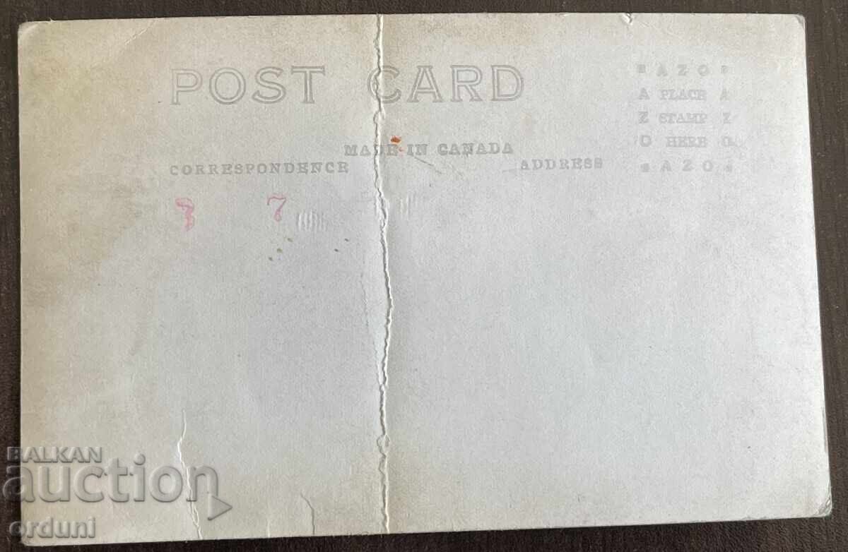 Delivery of 5298 Kingdom of Bulgaria postcard panikhida (memorial service) figures of VMRO 1925