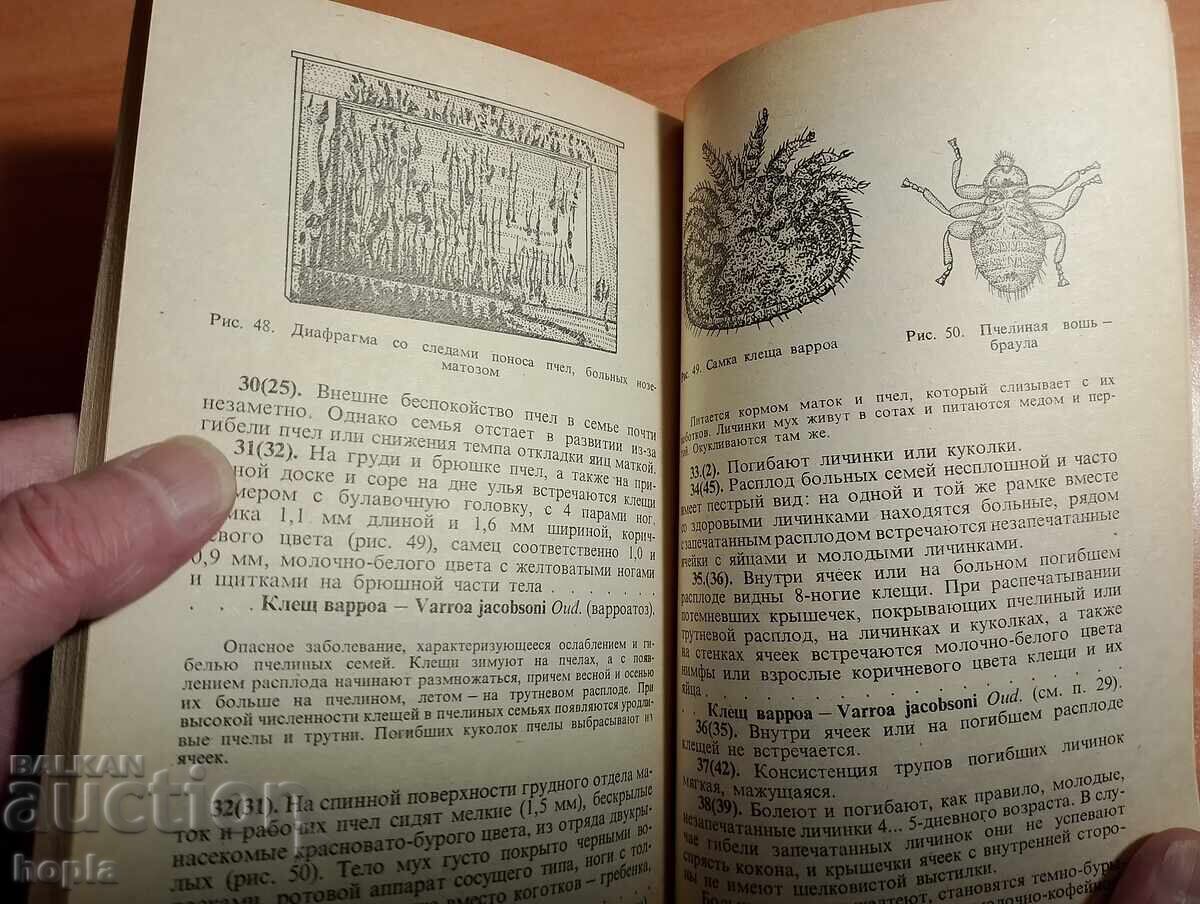 ΜΕΛΙΣΣΟΚΟΜΙΑ με τιμή € 2.50 | 4.89 BGN