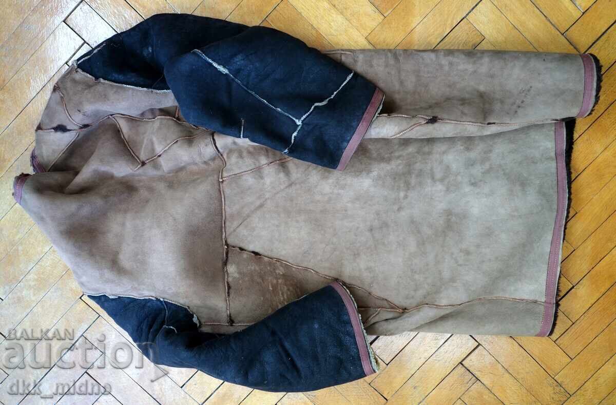 Licitație Haină de oaie Licitație Haină de oaie