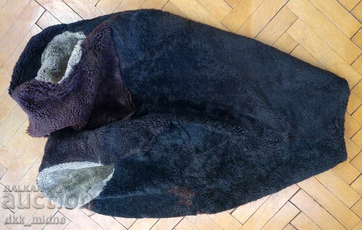 Livrarea Haină de oaie Livrarea Haină de oaie