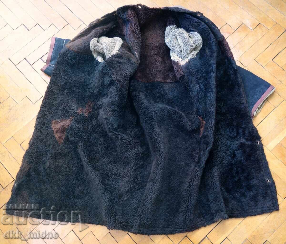 Haină de oaie Haină de oaie