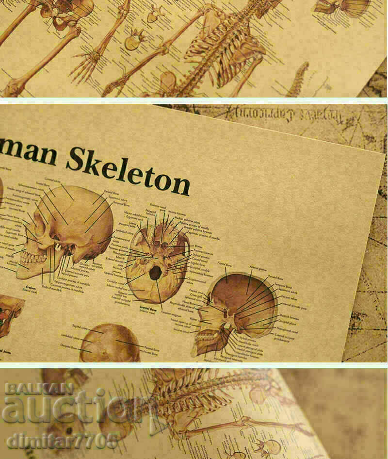 Δημοπρασία Αφίσα αφίσας Σκελετός 42/29εκ.