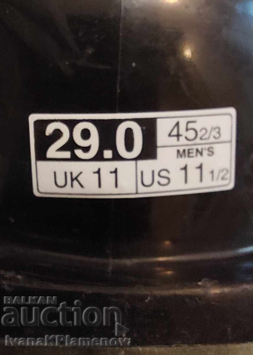 Livrarea Clapari SALOMON și geantă pentru cunoscători