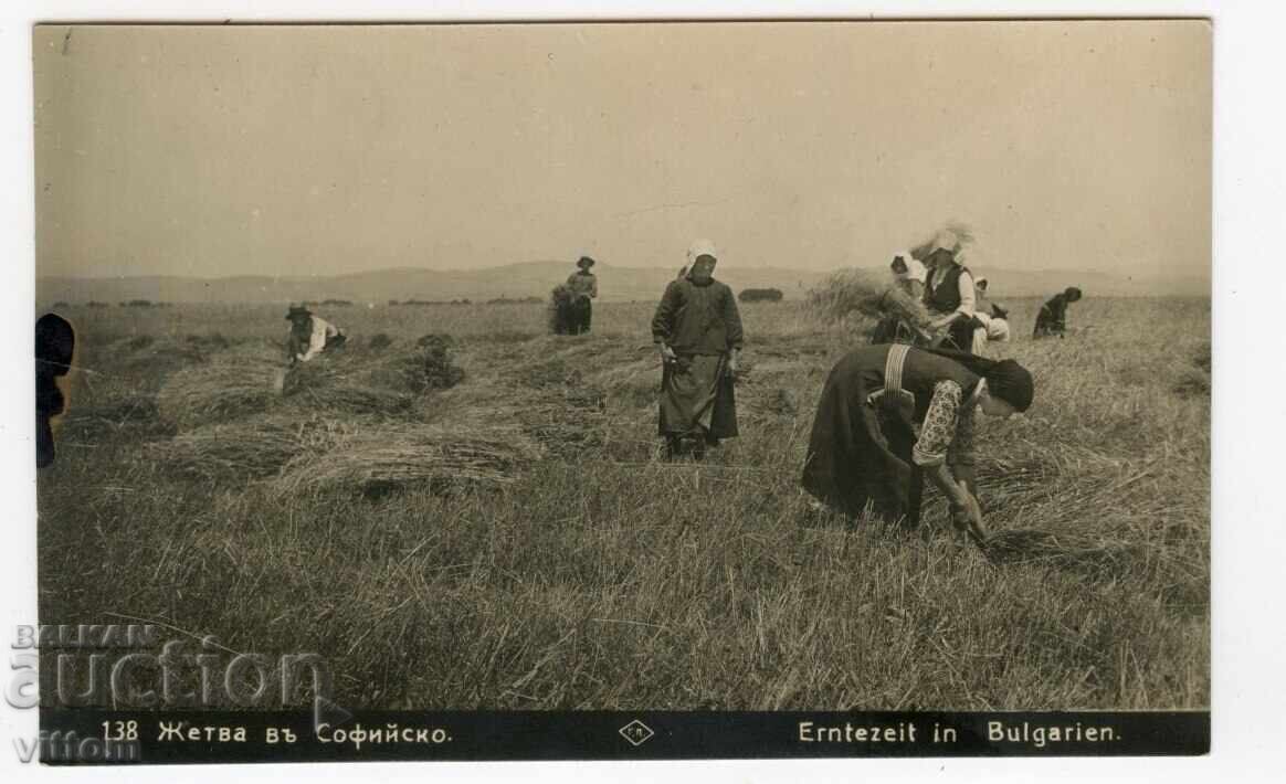 София жътва носия бит етнография Пасков картичка