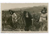 Συλλεκτική Νότια Βουλγαρική φορεσιά, παλαιά εθνογραφία, καρτ ποστάλ Πάσκοφ