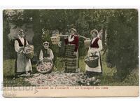 Trandafiri roz, cules de trandafiri, costum popular, bătălie, etnografie, carte poștală