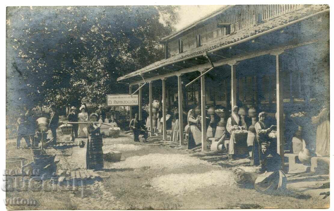 Rose-colored Papazoglu costume with ethnographic postcard Rose-colored Papazoglu costume with ethnographic postcard