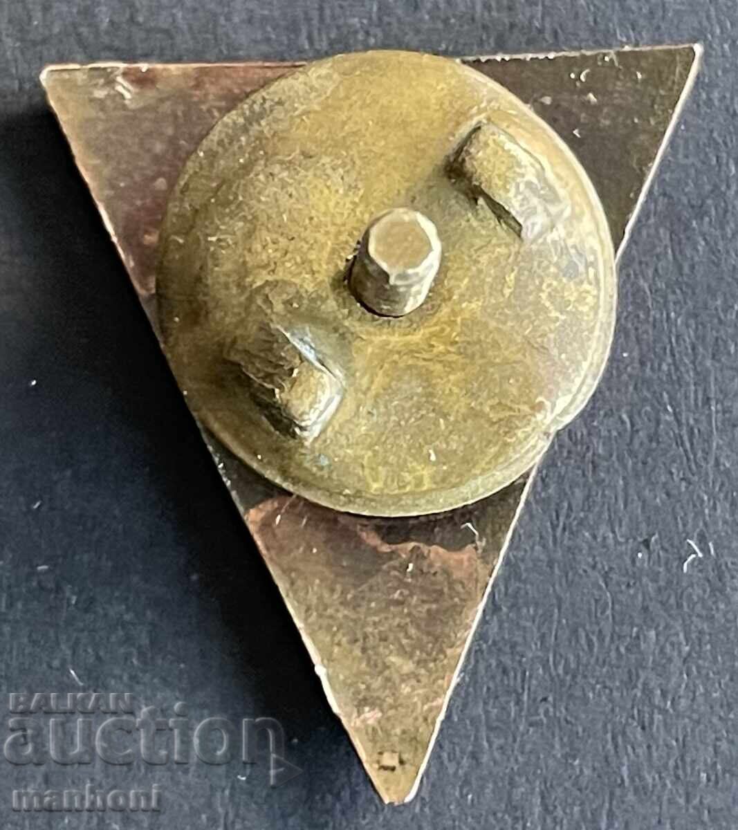 6310 Kingdom of Bulgaria badge BSS Bulgarian Ski Union enamel screw with price € 25.00 | 48.90 BGN