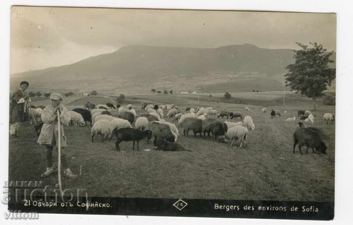 Sofia Shepherd Vitosha Costume Bit Ethnography Paskov Postcard