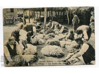 Varna tuns oi costum tradițional etnografie carte poștală