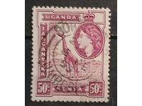 Кения, Уганда и Танганайка 1954